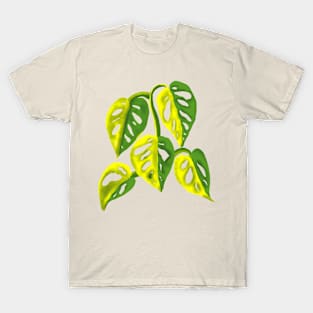 Monstera Adansoni Yellow Variegated T-Shirt